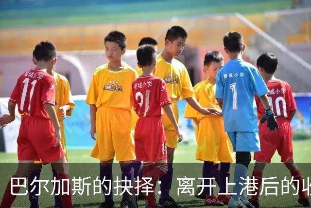 巴尔加斯的抉择：离开上港后的收入骤降与未来的迷惘